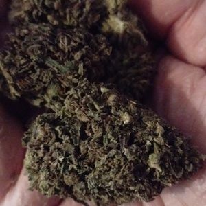 Meet your Posher, Travis